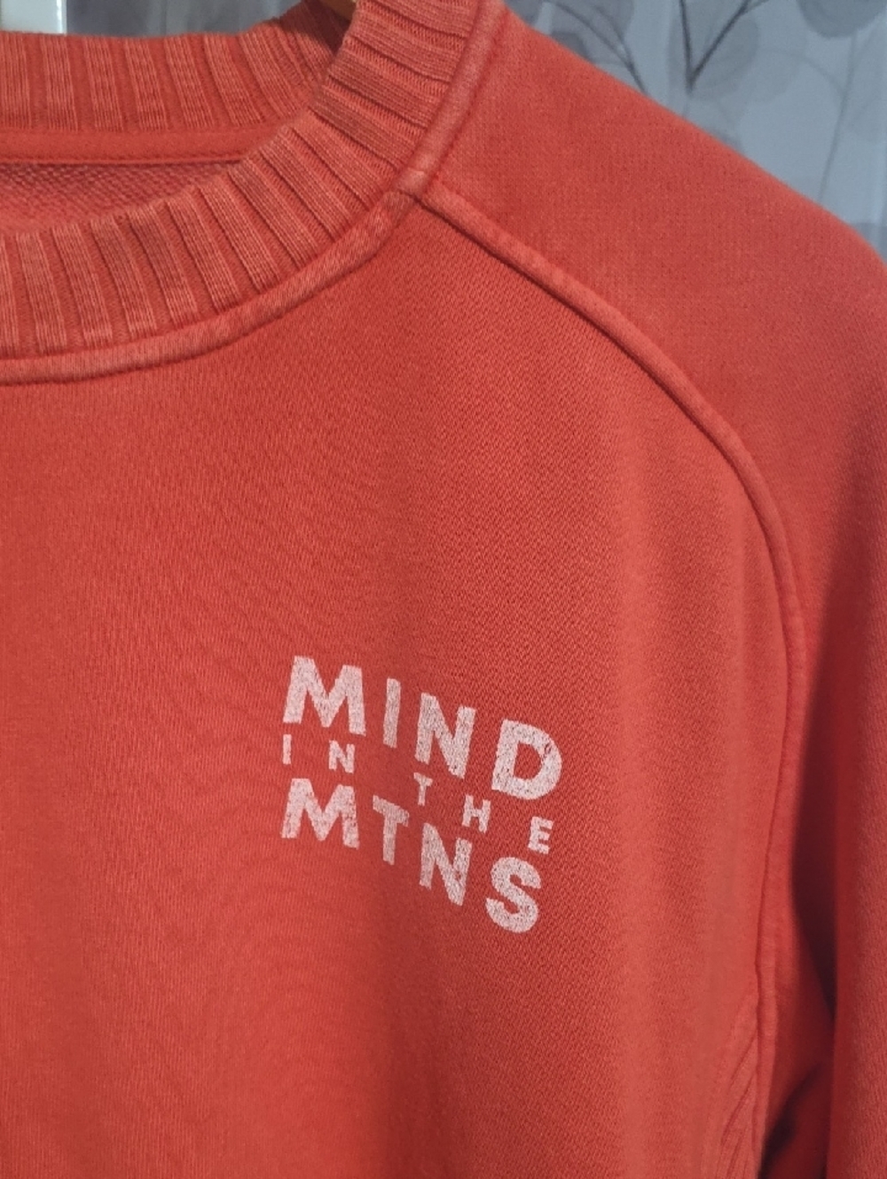 aerie Coral 'Mind in the Mtns' Pullover Sweatshirt - Picture 4 of 7